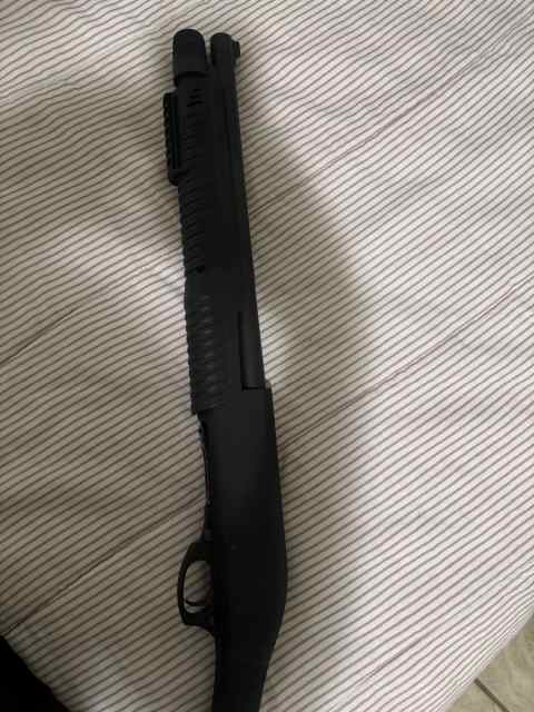 IMG_2319.jpeg