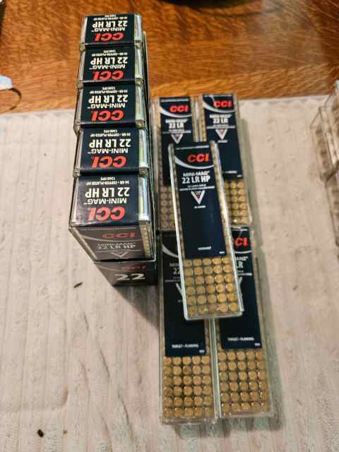 Ammo 22 lot 1 (2).jpg