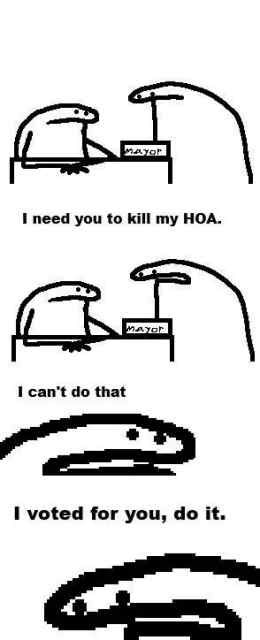 IMG_3586.jpeg