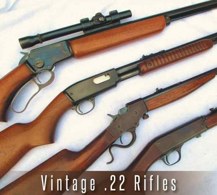 WTB - 22 RIFLES (any kind)