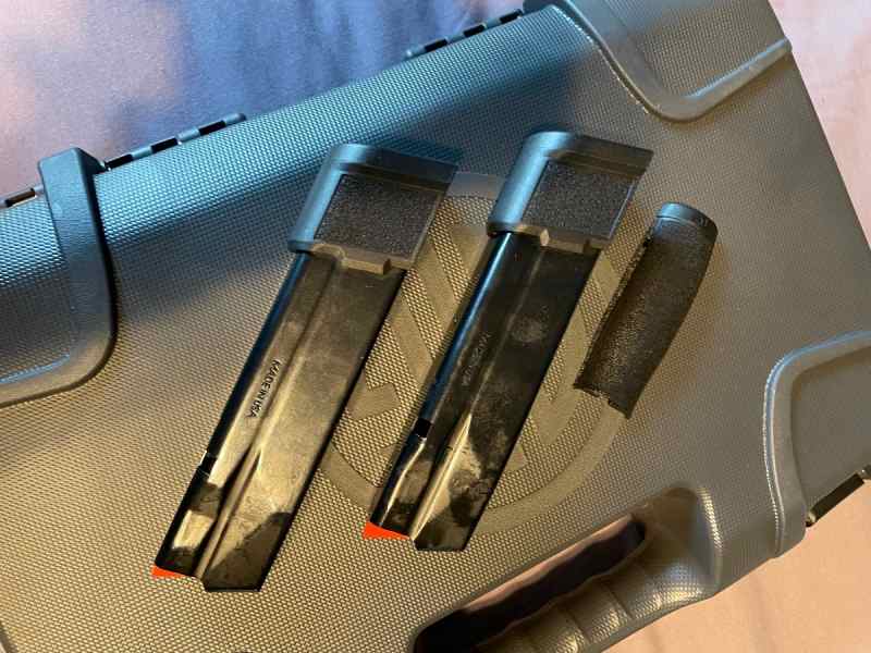 Sig p365 fuse