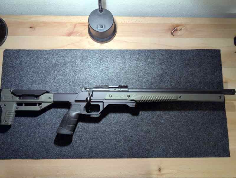 CZ455 no scope.jpg