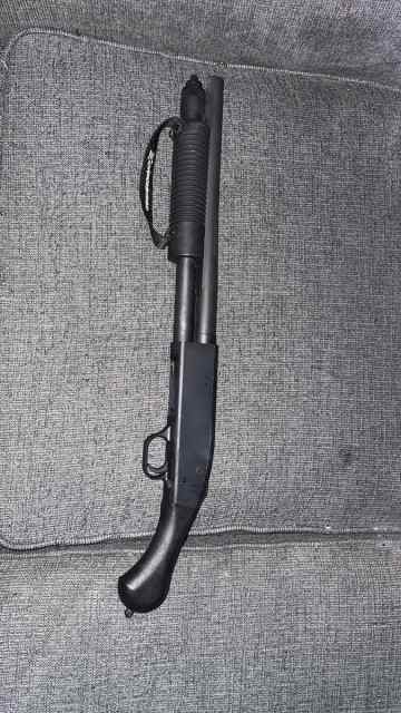 IMG_1552.jpeg
