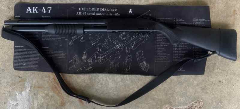 Shotgun 2.jpg