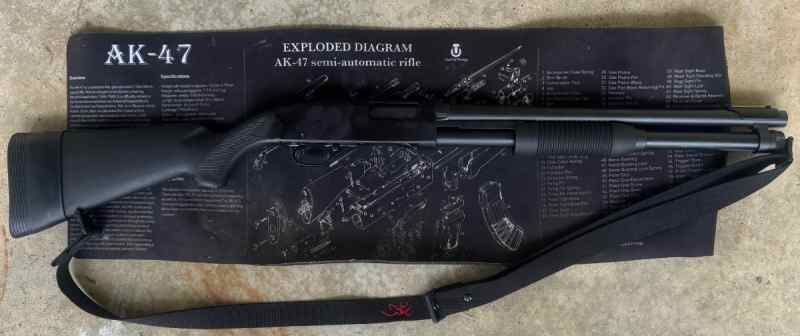 Shotgun 1.jpg