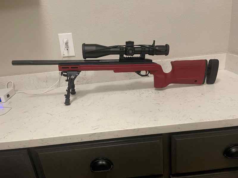 WTT/WTS custom 10/22 bench rifle