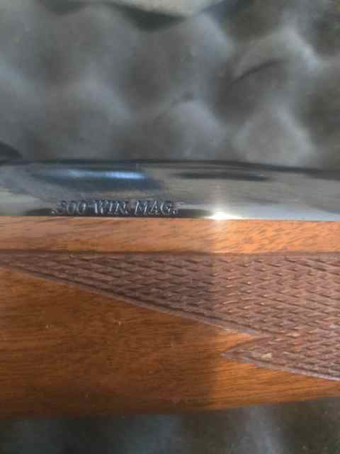 20250328_113554.jpg