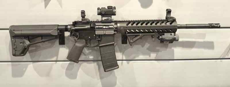 Palmetto State Defense AR 15