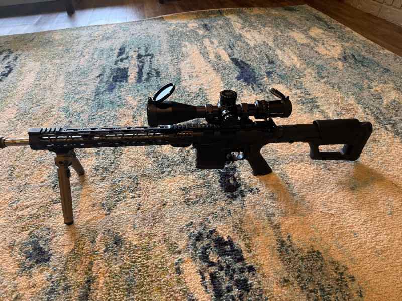 Palmetto State Armory AR 10 308